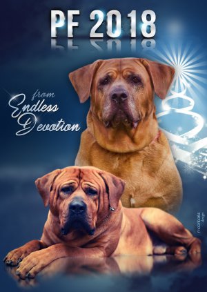 pfendlessdevotion2018